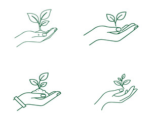 Gentle hands nurturing delicate green seedlings, symbolizing growth and new beginnings