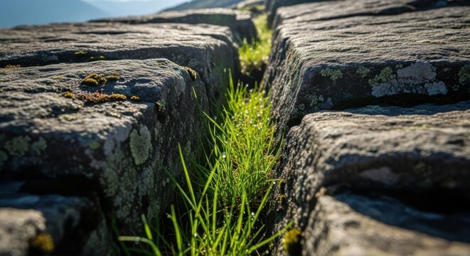 Close-up of grass growing between weathered rocks showing resilience and natural beauty - Powered by Adobe