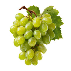 Naklejka premium Fresh Green Grapes With Water Droplets on a Vine Against a White Background