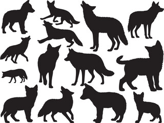 Obraz premium Coyote Silhouette