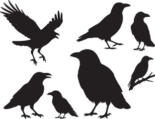 Obraz premium Crow Silhouette