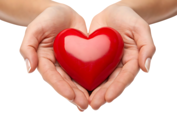 Red heart shape in woman's hands on transparent background