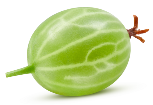 Gooseberry isolated on transparent background. PNG gooseberry. Gooseberry full macro photo.