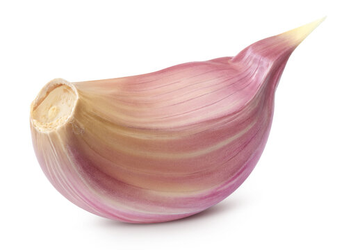 Garlic isolated on transparent background. Clipping PNG. Garlic full macro photo. No AI