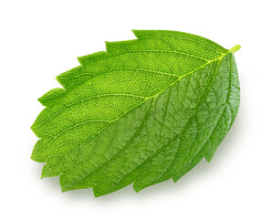 Strawberry leaf isolated on transparent background Strawberry leaf PNG