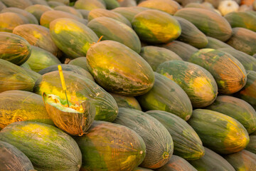 A juicy Asian melon. A harvest of ripe melons lies in a large pile in a field in the sunset light. A close-up of many melons.