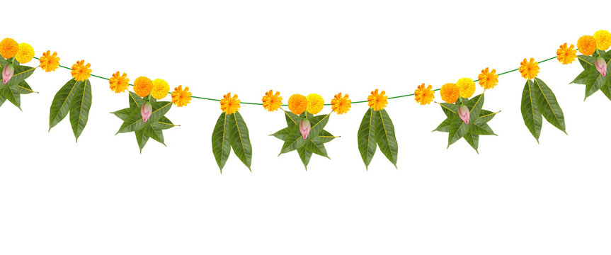 Indian festival thoranam of marigold flowers isolated on transparent background with lotus flower and mango leaf, hanging in entrance of house, reception, mall, temple.