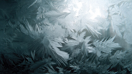 Captivating intricate fern-like frost patterns on a window, displaying delicate ice crystals in cool white, silver, and teal tones. A stunning winter texture.