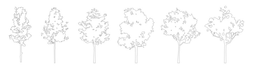 Fototapeta premium Architectural CAD Tree Outline Linework, Clean Side View Trees for Landscape and Architectural Design