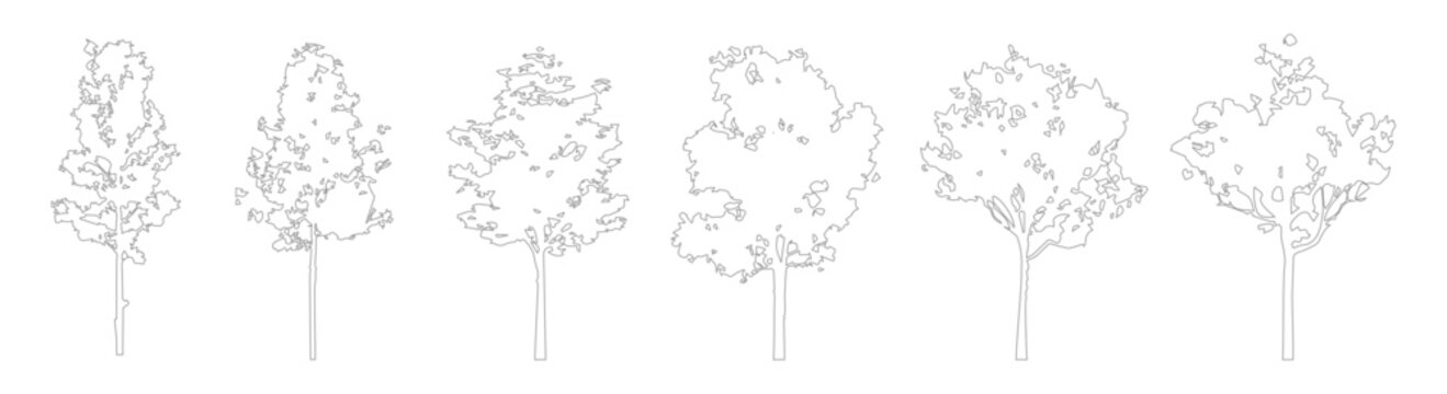 Architectural CAD Tree Outline Linework, Clean Side View Trees for Landscape and Architectural Design