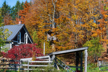 A children house in the Quebec fall colors