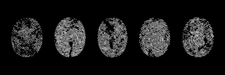 Vector grunge white fingerprint on black background. Detailed fingerprint on grunge background symbolizing identity verification.
