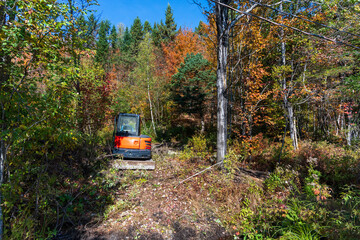 An excavator working in a forest