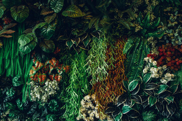 Close up group of background green leaves texture and Abstract Nature Background. Lush Foliage Textures.