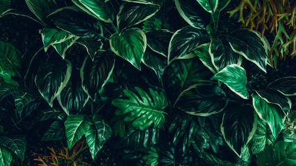 Close up group of background green leaves texture and Abstract Nature Background. Lush Foliage Textures.