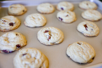 Chocolate Chip Pecan Cookies