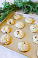 Chocolate Chip Pecan Cookies
