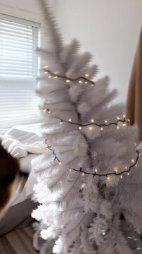 playful cat rests on white bed, gazing up at Christmas tree with twinkling lights,cat knocks over a Christmas tree, a funny incident, holiday spirit, relaxation, serenity, Christmas