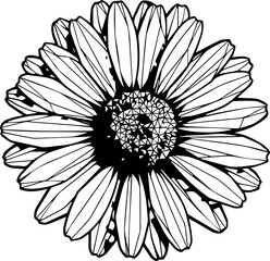 Elegant sunflower blossom illustration for creative designs and springtime projects, originally a scalable vector graphic, versatile and refined