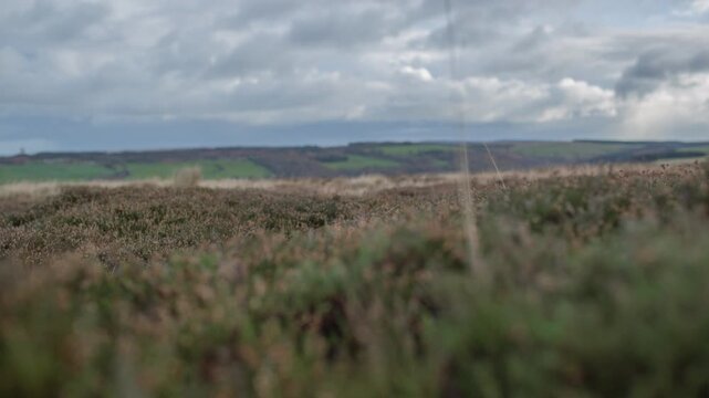 Yorkshire Moor landscape timelapse covered in heather under a Cloudy Sky in a rural countryside