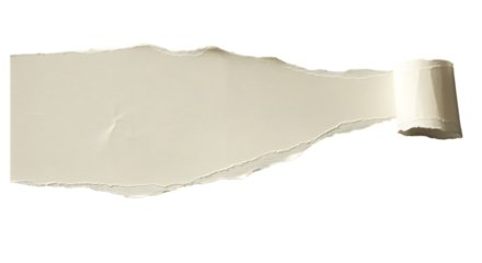 Torn paper edge with a rolled curl perfect for design elements on transparent background.