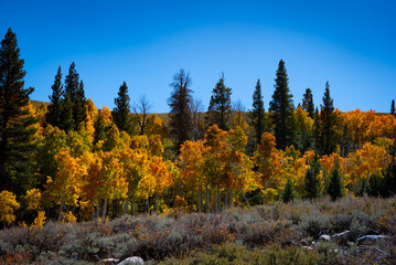 Autumn in the Eastern Sierra