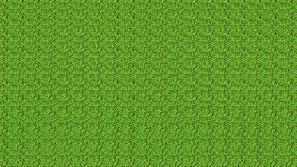 Fototapeta premium Vibrant Green Textured Grass Pattern Background nature