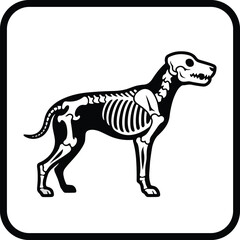 Dog skeleton anatomy, profile view, educational illustration, bones and structure, veterinary reference, flat vector design, black and white