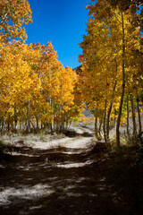 Autumn in the Eastern Sierra