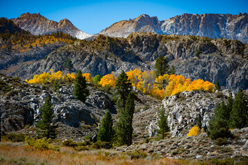 Autumn in the Eastern Sierra
