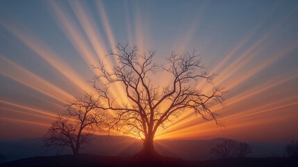 Fototapeta premium Silhouetted trees against a vibrant sky as the sun pierces the horizon, bursting with light.