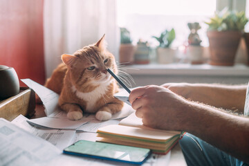 Close-up of men's hands with a calculator and utility bills.