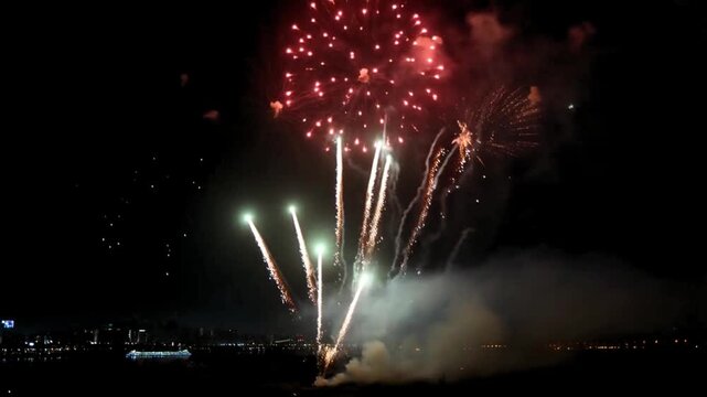 Fireworks exploded in the night sky, streaks of light twinkling like falling stars, spreading a shimmer of color across the city.