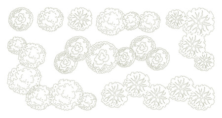 Tree for architectural floor plans. Entourage design. Various trees, bushes, and shrubs, top view for the landscape design plan. Vector illustration.