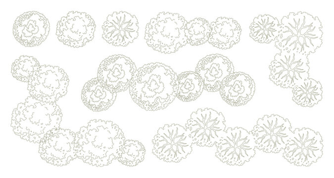 Tree for architectural floor plans. Entourage design. Various trees, bushes, and shrubs, top view for the landscape design plan. Vector illustration.