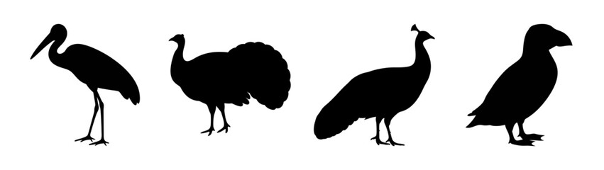Discover unique bird silhouettes vector art featuring diverse avian species for graphic design projects
