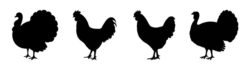 Silhouette vector illustration of turkey and rooster farm animals poultry fowl birds domestic birds © black man