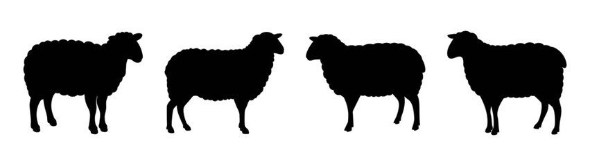 Sheep silhouette vector art: black sheep illustration, farm animals, livestock design element, ewe art