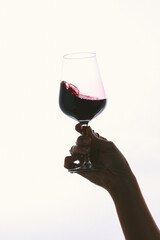 Cocktail Beverages & Wine