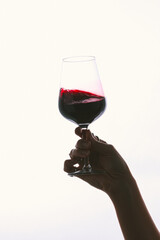 Cocktail Beverages & Wine