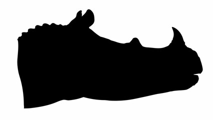 Silhouette of a rhinoceros head showing its horn and ear in a side profile against white backdrop © Sidra