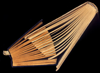 Two books bound together by sheets