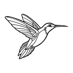 Fototapeta premium Silhouette of hummingbird hovering isolated on a white background