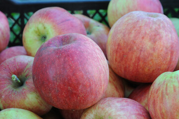 Fresh apples in a basket on a market stall. Closeup of photo. 