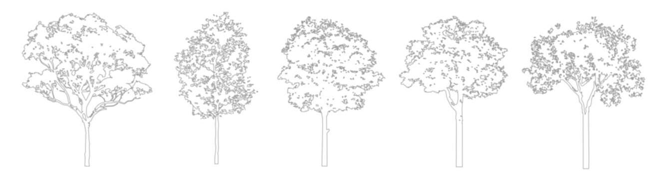 Architectural CAD Tree Line Art Set, Minimal Side View Trees for Landscape and Design Projects