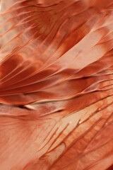 Cosmetic Foundations