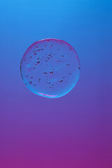 Cosmetic Skincare Textures