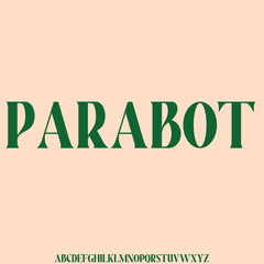 Modern decorative sans serif alphabet display font vector illustration