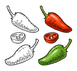 Whole and slice pepper jalapeno. Vector monochrome and colorful vintage engraving illustration for menu, poster, label. Isolated on white. Hand drawn design element