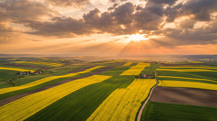 Majestic aerial landscape of colorful agricultural fields and rolling hills illuminated by a dramatic golden sunset with sun rays breaking through the clouds.